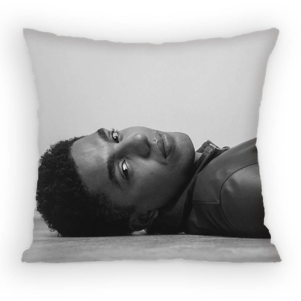 Jay Lycurgo Actor Tim Pillow Case Antidustmite Pillowcase Invisible zipper silky short plush Sofa cushion cover