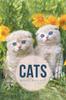 The Cats Book