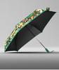 OLYCAT Automatic Compact Umbrella for Women - UV Protection, Rain or Shine Dual-Use, Portable Sunshade