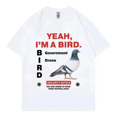 Üst giysisi – T-shirtler