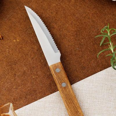 Professional Steak Knife Stainless Steel Barbecue Knife Fruit Vegetable Meat Boning Knives Peeling Cutting Knife Wooden Handle