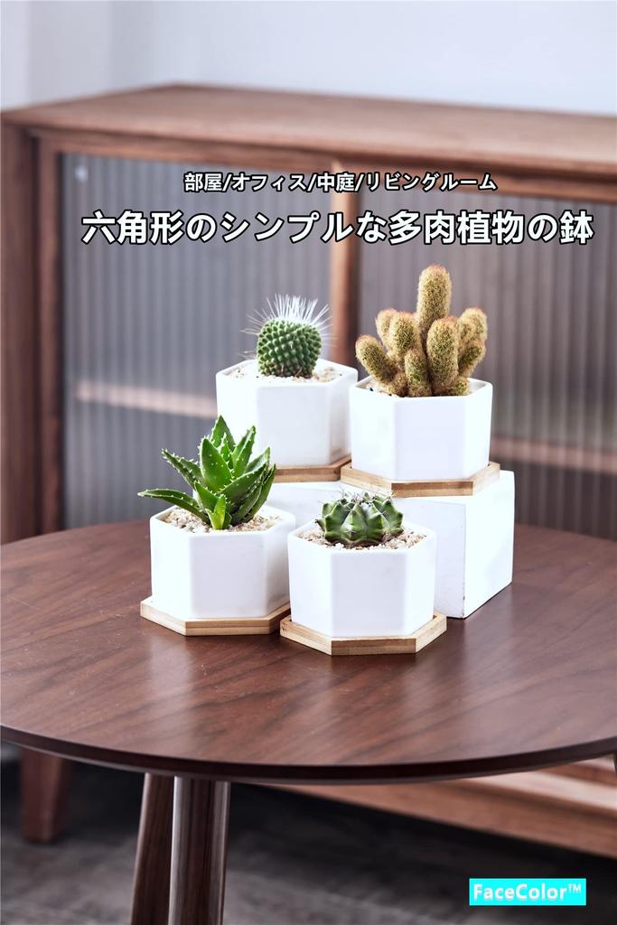 FaceColor Sukulent Ceramiczny Kaktus Sześciokątny z Podstawką Ociekową Biały Odpowiedni do Ogrodu Żywego Zestaw 4 szt. Nie Doniczka, Doniczka, Sadzarka, Doniczka, (Rozmiar 9106 CM),