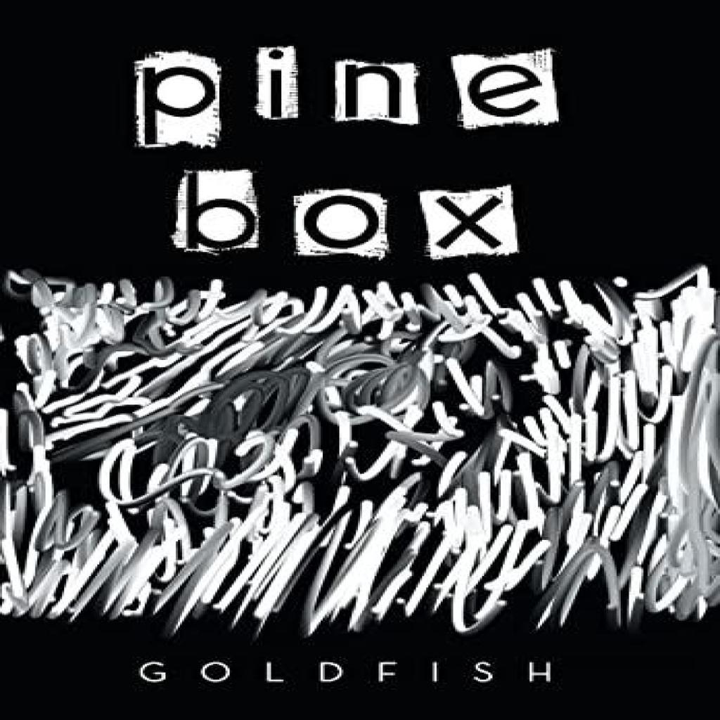 Pine Box by Goldfish Hardback Book 9781669837589