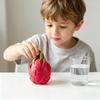 1/2 Stück Simulation Drachenfrucht Quetschspielzeug Stressabbau Drachenfrucht Quetsch Sensorisches Spielzeug Weiche Dehnbare Fruchtform Haus Büro Schreibtischspielzeug