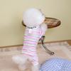 Spring and summer colorful sports dog four-legged loungewear thin breathable teddy small dog cat pet clothes