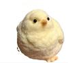 Chick Squeeze Fun Handmade Chick Craft Loose Chicken Funny Stress Relief Toy Same As On Rednote Stress Relieving Toy