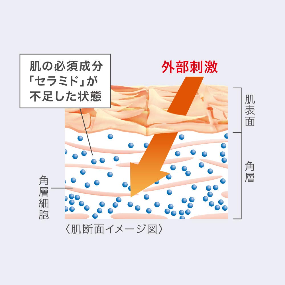 Curel Intense Moisturizing Face Cream 70g [Face Cream]