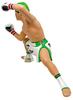 16d Figure Collection Legend Masters Nasukawa Tenshin Non-Phthalate PVC Painted Complete Figure MAY228066