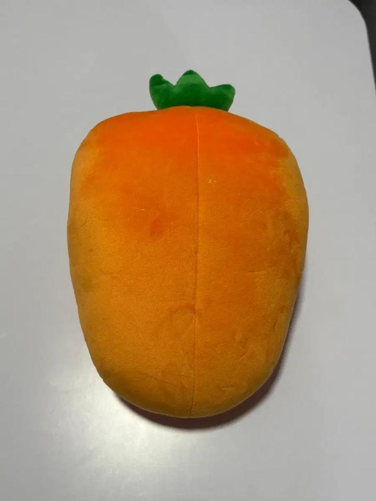 Park Ji-hoon doll Used