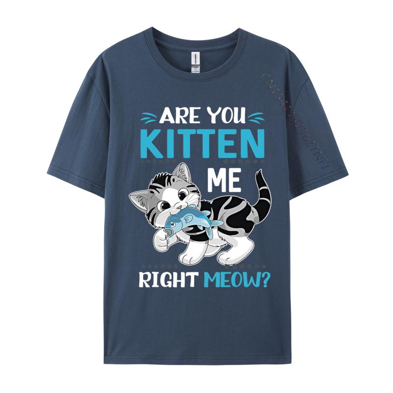 Are You Kitten Me Right Meow Funny Tshirts Plus Size Tops Anime Printed Tshirt Cotton Casual Brand T Shirt