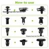 125pcs Universal Bumper & Fender Clips for Honda & Toyota