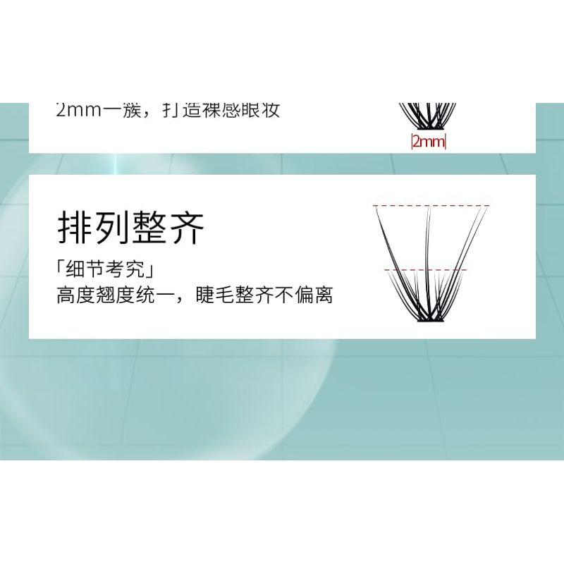 Bonnie Wisp - Natural Individual Multipack False Eyelashes (Various Designs)