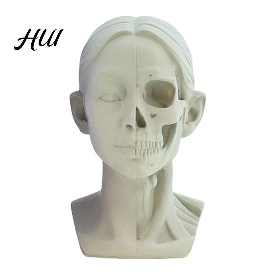 Human Anatomy Teaching Tool Generic Planar Head Model for Drawing Resin Skull Sculpture with Accurate Detailed Muscle Structure Art Study Sketching