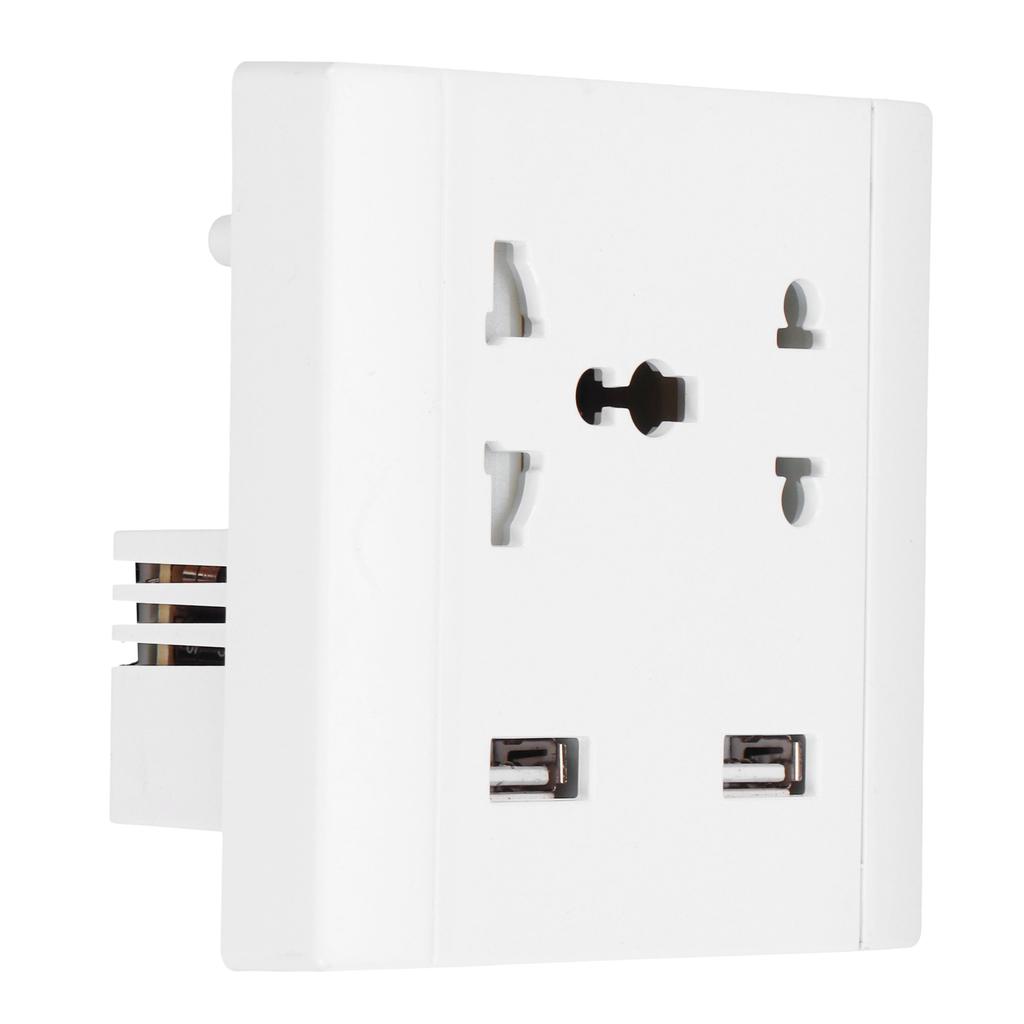 13A Multifunctional Wall Power Outlet Socket with 2 USB Port Home Improvement 110/