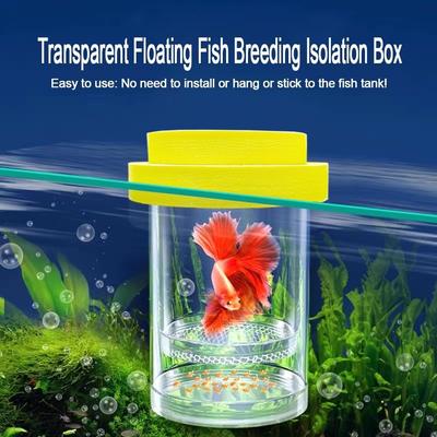 Ryby a mořští živočichové – Údržba akvária