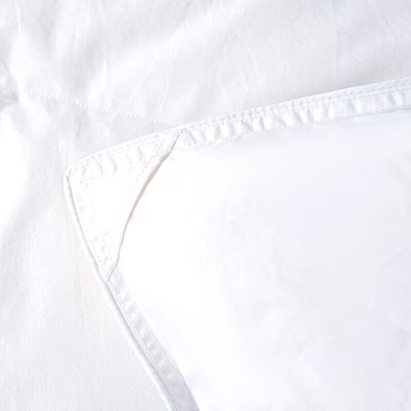 Langsaha Premium Velvet Duck Down Quilt