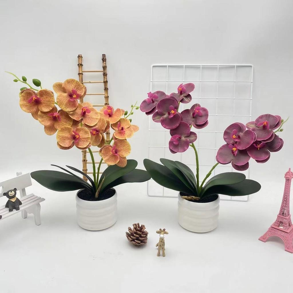 Artificial Phalaenopsis Flower Pot For Outdoor Garden Wedding Decor Photography Props And Home Decor