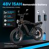 Aairsk X5 Elektrofahrrad mit Blinker, 75N·m Hochgeschwindigkeitsmotor, 48V 15AH, 50KM Reichweite, 20
