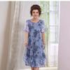 European & American Plus Size Women's Dress with Print - 2025 Collection