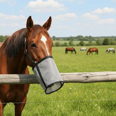 Langlebige, auslaufsichere Pferdefuttertasche, verstellbare Netz-Weidehaube, elastischer, atmungsaktiver Heufutter-Tragebeutel, Training