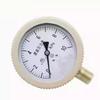 Chun He Diaphragm Pressure Gauge YE-100