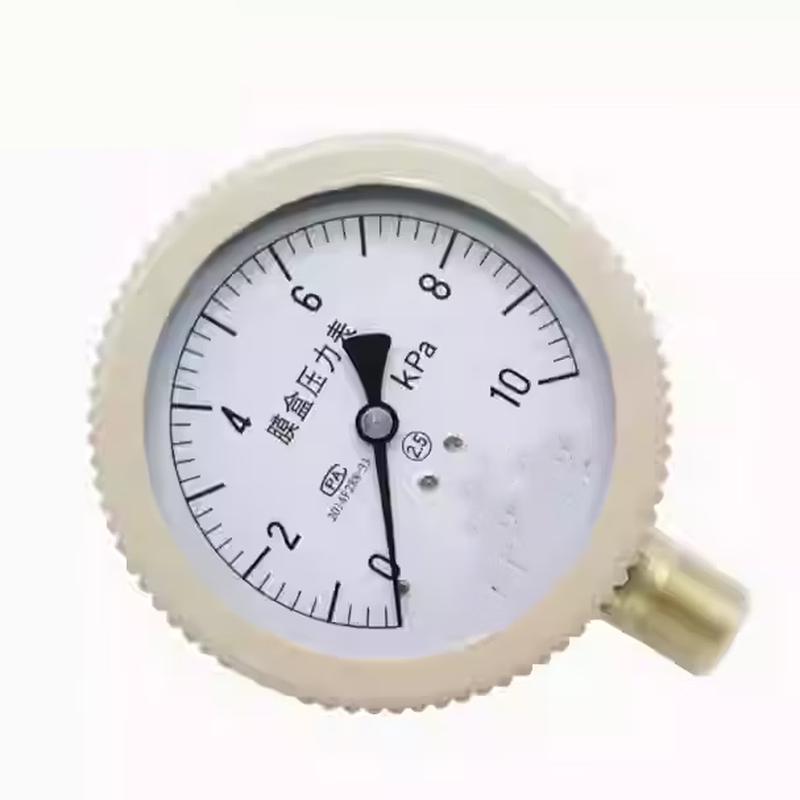 Chunhe YE-100 Diaphragm Pressure Gauge