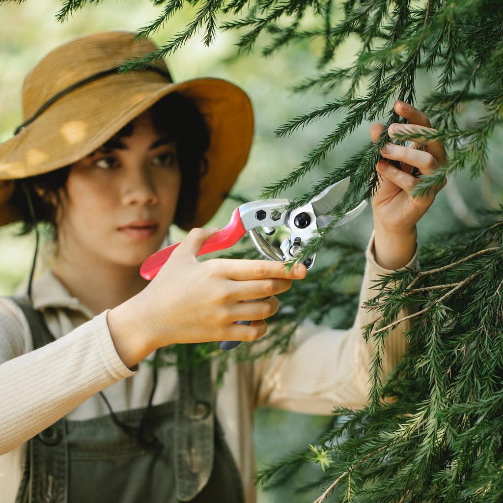 Secateurs Steel Blade Pruning Shears with Ergonomic Handles Gardening Pruning Scissors Bonsai Cutters Professional