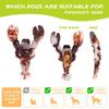 Tough Durable Lobster Dog Toy for Aggressive Chewers Interactive Chew Toy for Puppy Training Anxiety Relief Enrichment Game