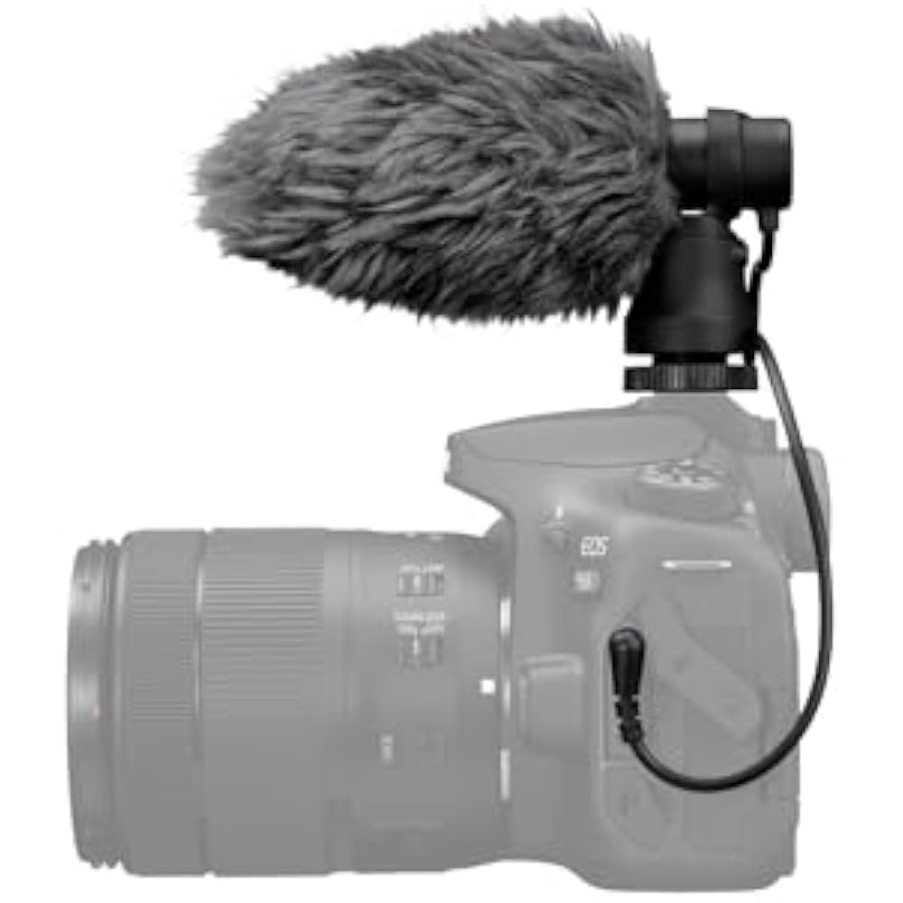 DM-E100 stereo microphone