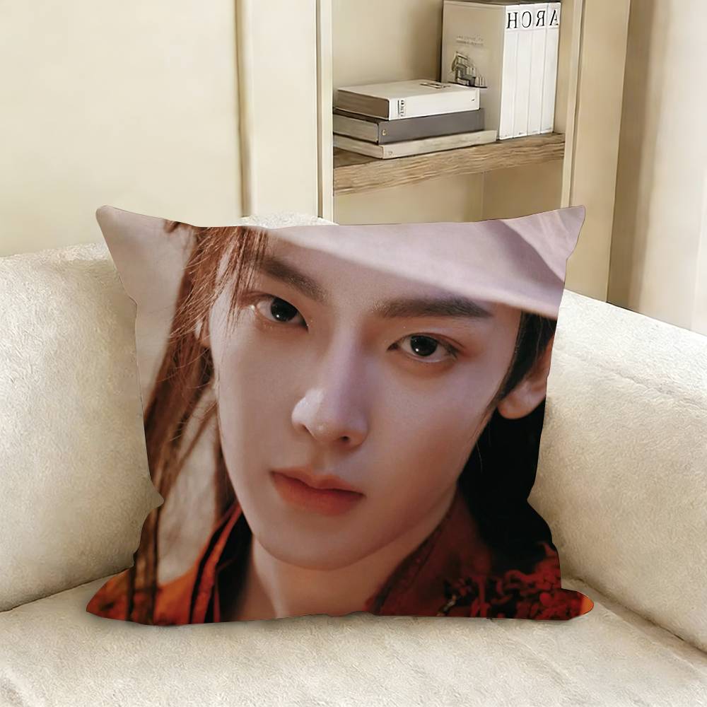 Neo Hou Minghao Lu Yuxiao TV Love in The Clouds Ji Bozai Various Sizes Square Pillow Case For Car Home Bedchamber Decor