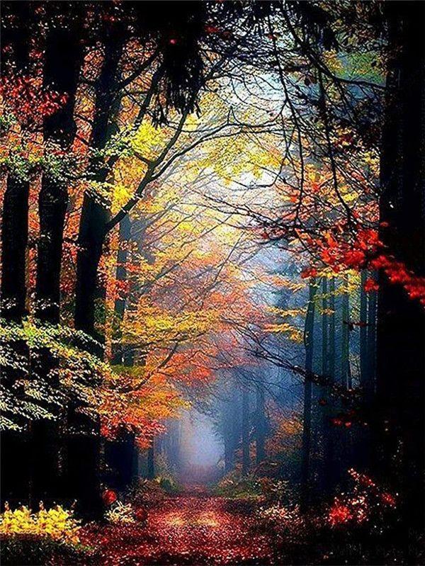 

RUOPOTY картина по номерам осенние пейзажи фотографии подарочные наборы рисунок холст ручная роспись дерево домашний декор 40x50cm NO Frame