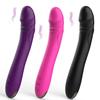 Dildo Vibrator 10 Speeds Woman Masturbator G Spot Adult Sex Toys Anal Plug Silicone USB Charging