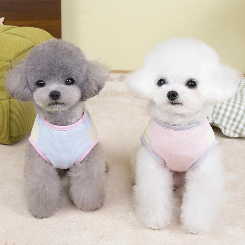 Cold feeling pet small puppy cat vest dog clothes summer