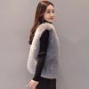 Haining Winter Imitation Leather Vest Women's Imitation Leather Jacket Short Vest Fox Fur Vest Thin