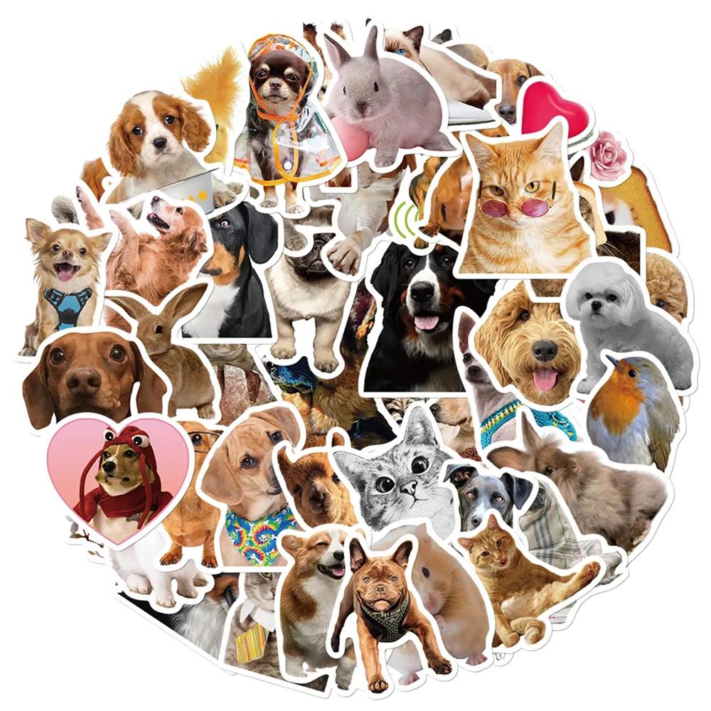 10/30/50pcs Funny Animal MEME Cat Dog Graffiti Stickers Cute Decoration Toy Decals DIY Notebook Phone Luggage Waterproof Sticker