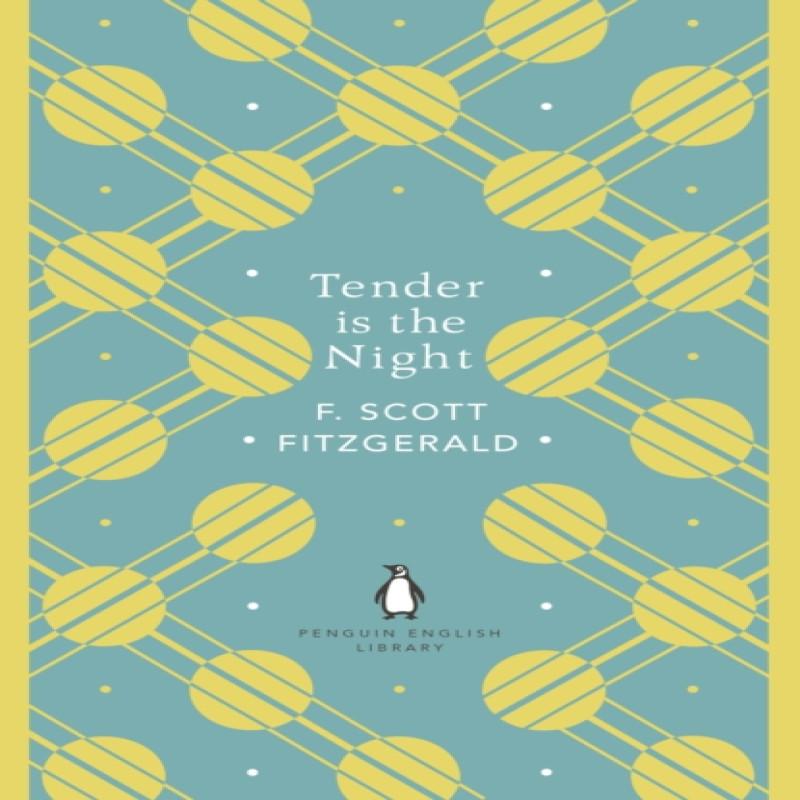 Tender Is the Night by F. Scott Fitzgerald Paperback Book 9780241341483