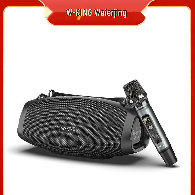 W-King D10+ Portable Bluetooth Karaoke Speaker CN Plug (adapter Included)