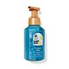 BBW 259ml 4 Packs FROZEN LAKE Gentle Foaming Hand Soap