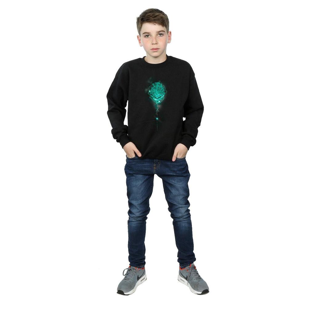 HARRY POTTER Jungen Sweatshirt mit Hogwarts-Wappen, Nebel