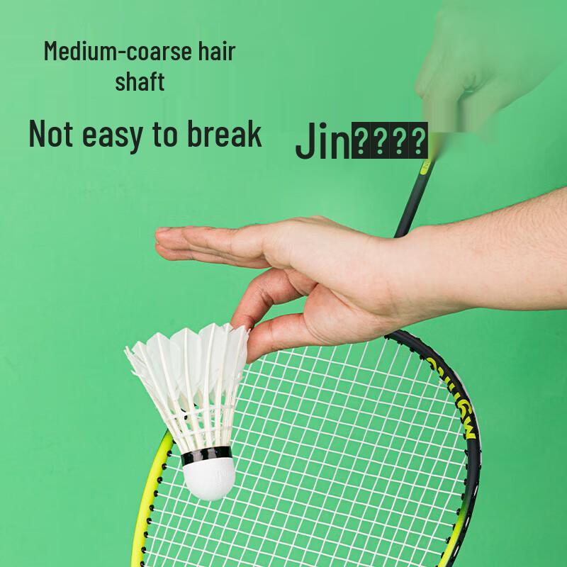 Deli F2202 Goose Feather Badminton Shuttlecocks (12-Pack)