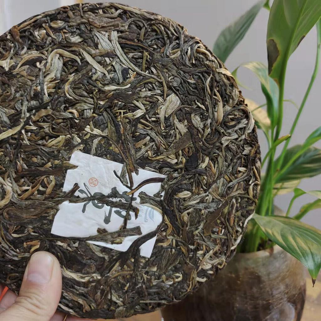 Yunnan Island Old Tree Pevně ​​lisovaný 357g Puerh Raw Tea Cake