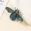 Fashion Brooch Pin With Shell And Stone For Elegant Clothing Accessory Gift
