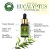 Old Tree Eucalyptus Essential Oil 15ml