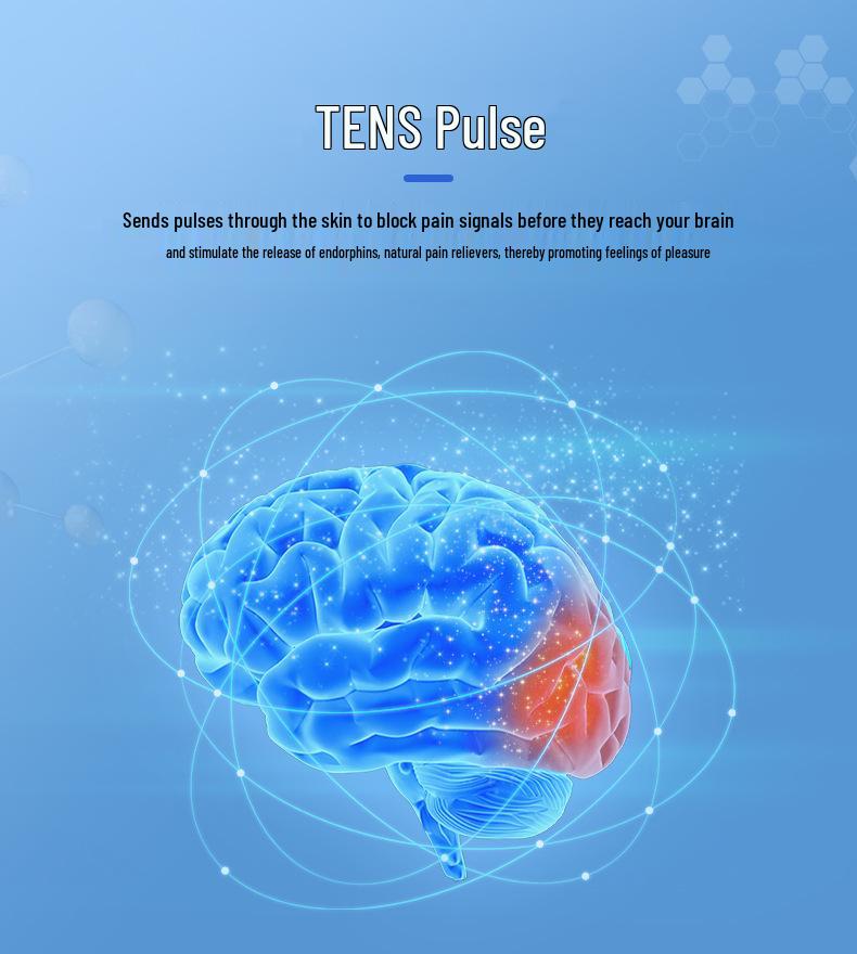 Dual Output EMS Meridian Therapy Massager for Shoulder & Neck