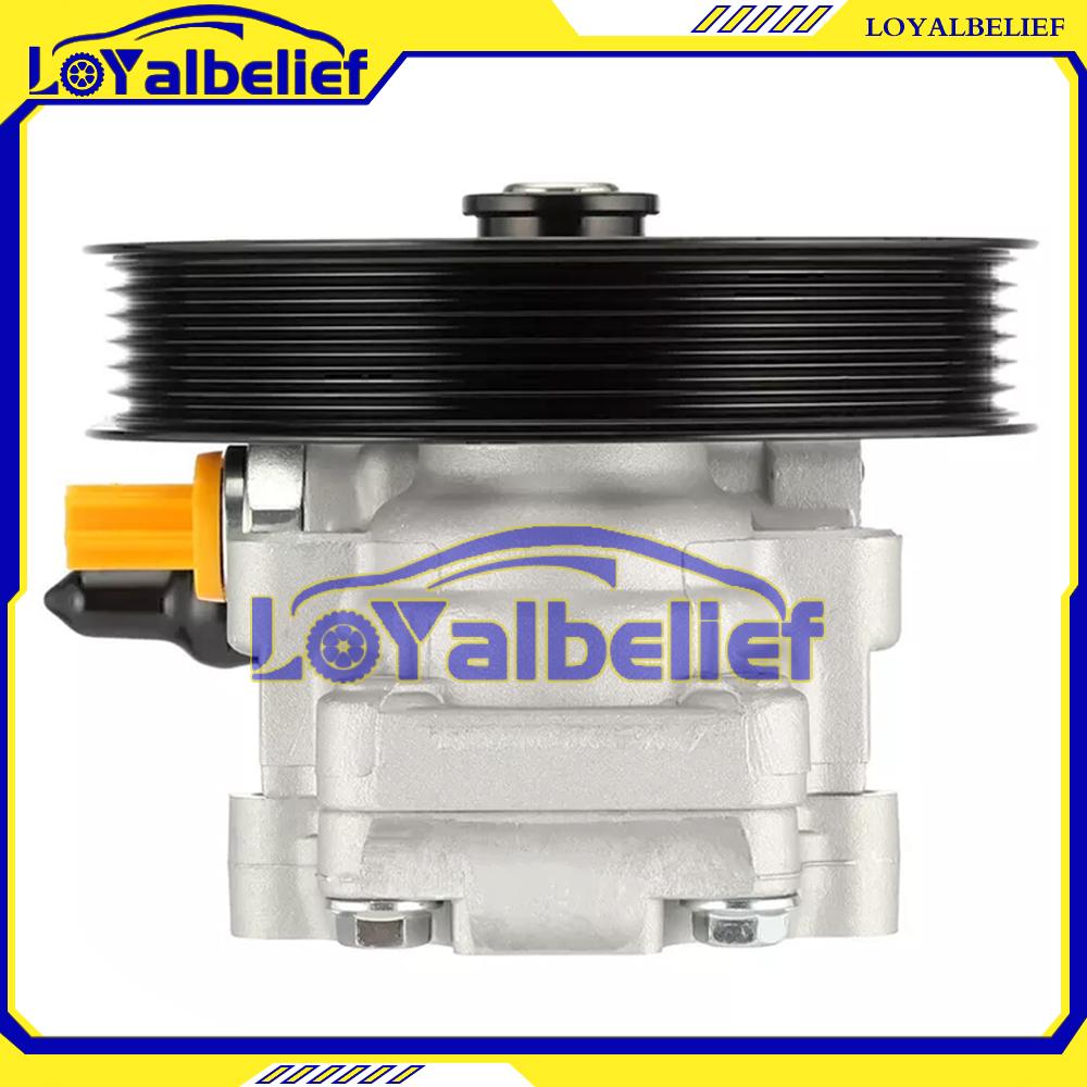 High quality Power Steering Pump For Holden Commodore VZ VE V6 V8 L98 2005-13 92174214 92260526 92267876