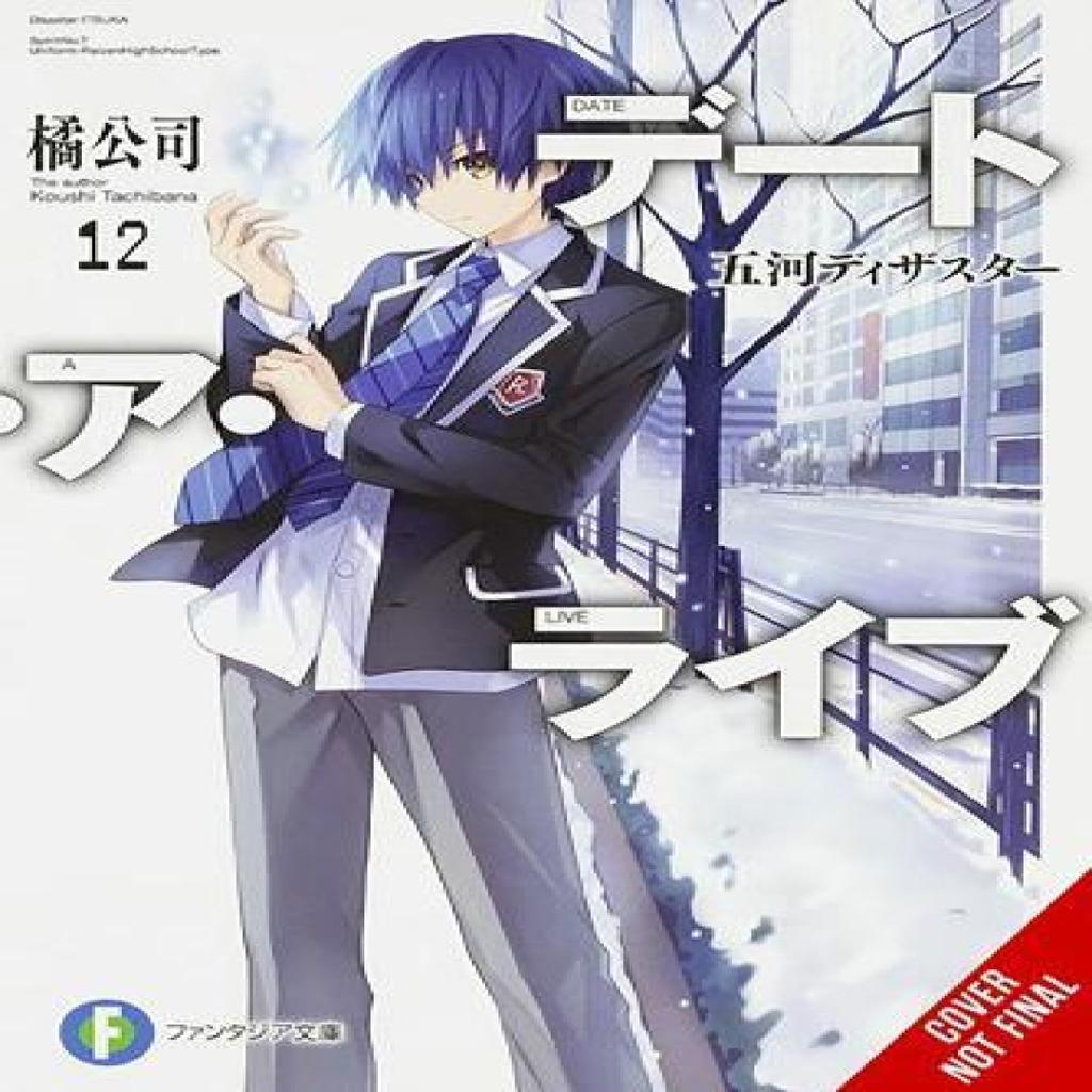Date A Live Vol. 12 light novel by Tsunako Tsunako Paperback Book 9781975350369