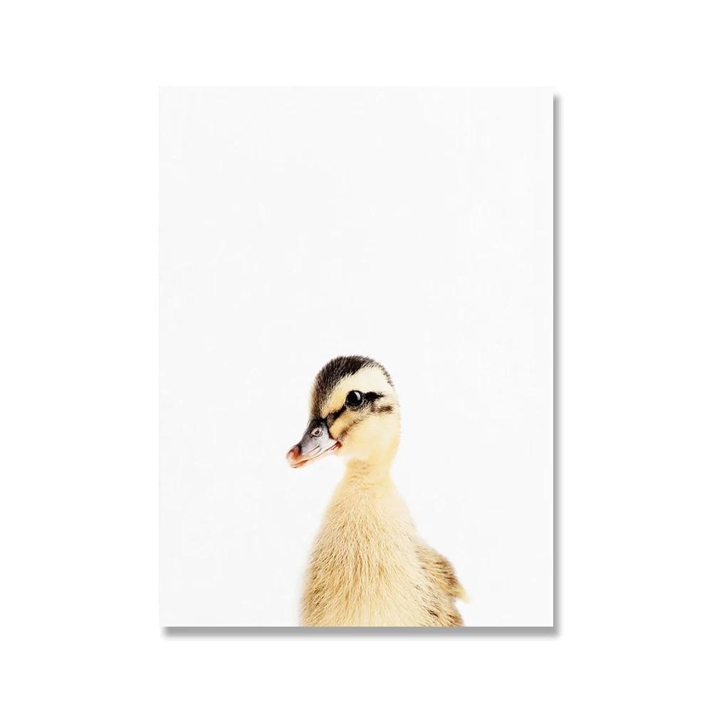 Towoto Baby Animal Print Nordic Poster Minimalist Canvas Painting Safari Pepinieră Artă de perete Copii Baby Room Decoration Pictures No Frame