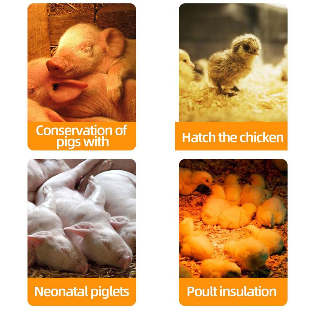 Chicken High Quality Pet Brooder Lamp Heating Lamp Bulb Breeding Bulb Reptile Habitat Lighting