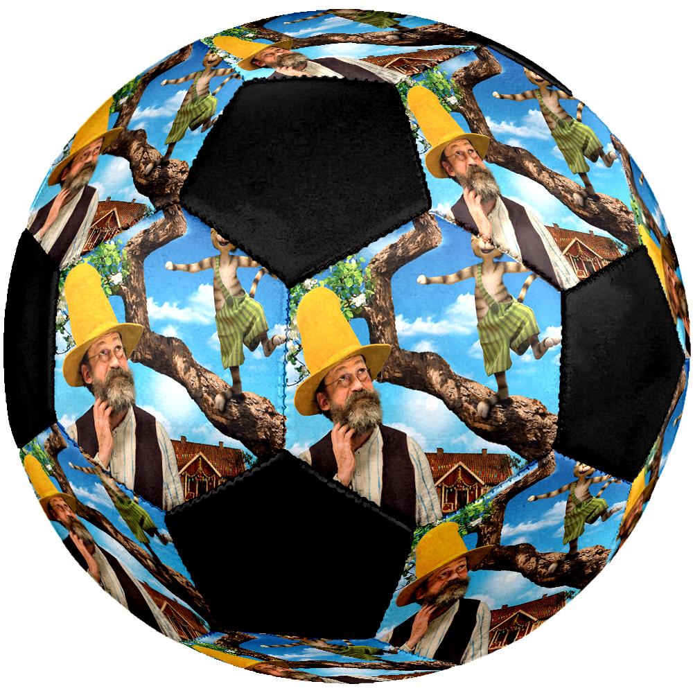 Pettson and Findus Theme Size 5 Soccer Ball, Suitable for Both Indoor and Outdoor Matches, a Gift Suitable for Everyone.