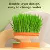 Pet Cat Grass Starting Dish Greenhouse Hydroponics Plant Cat Grass Digestion Growing Tray Germination Nursery Pot Box Supplies